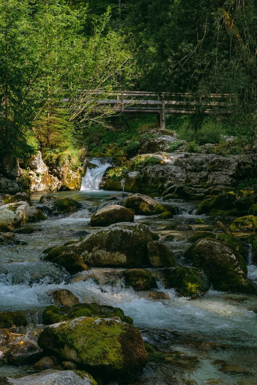 free-photo-of-scenic-view-of-a-mountain-river-and-a-wooden-bridge.jpg