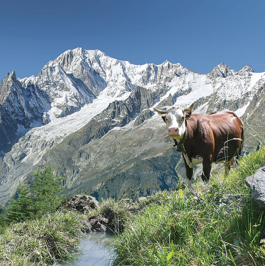 ALPENZU mountain.png