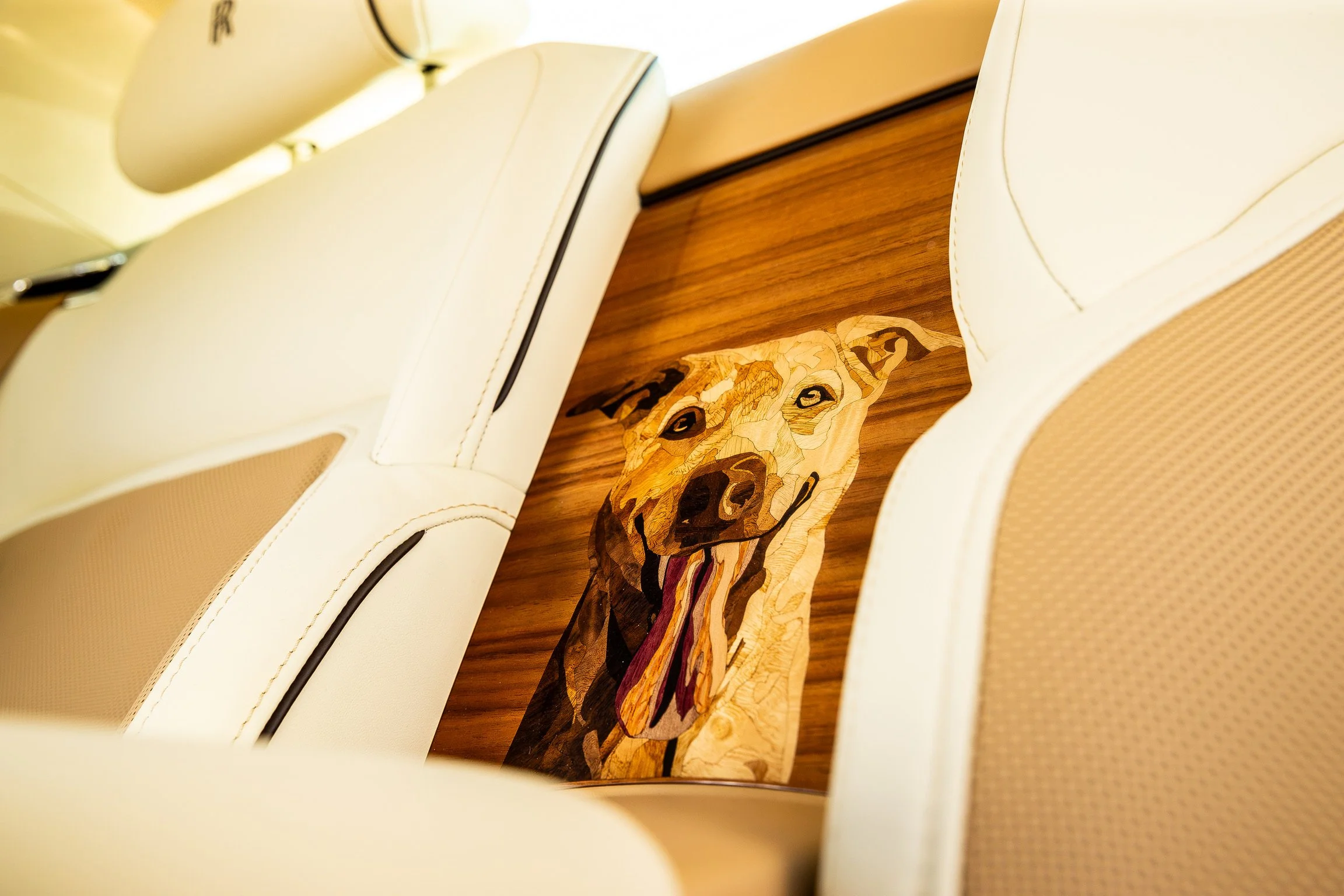 11.06.25-RollsRoyceSpectreJune2025--18.JPG