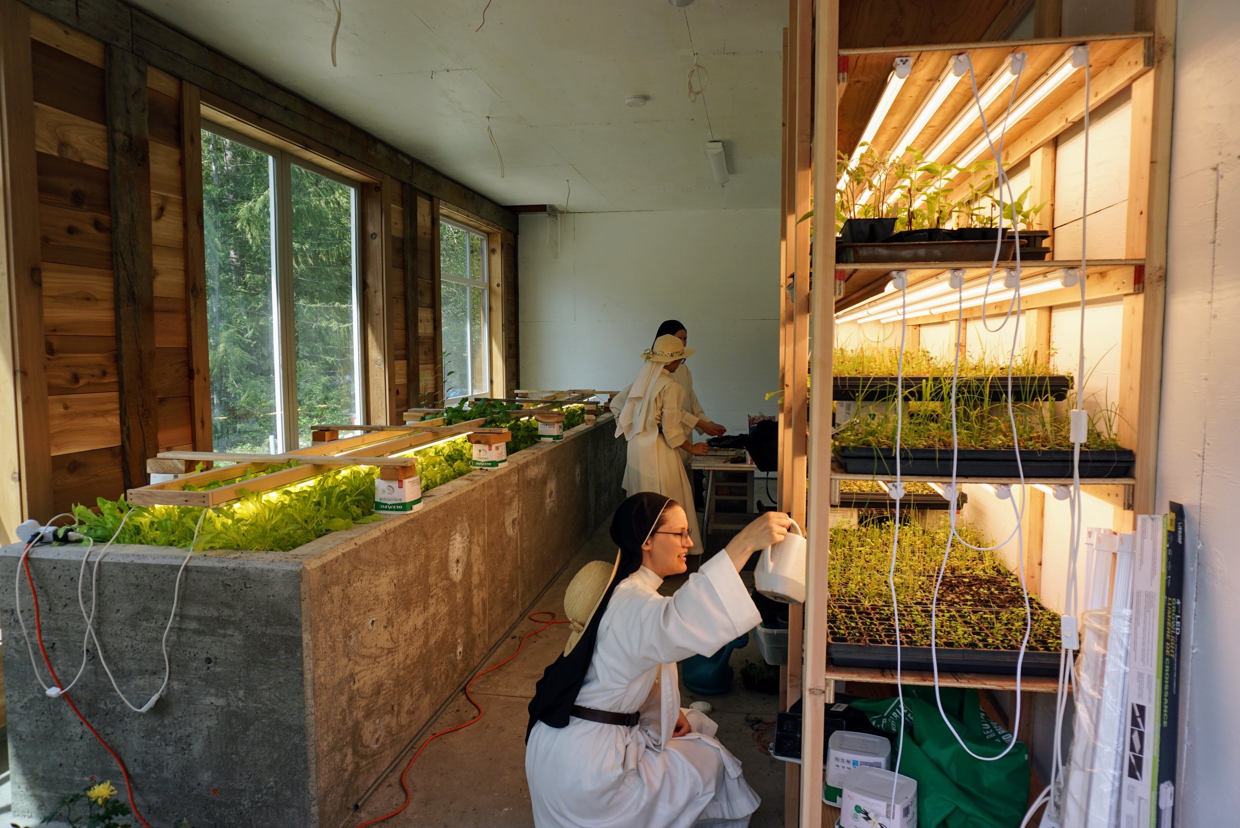  An indoor greenhouse and plant nursery for feeding our refectory all year round. 