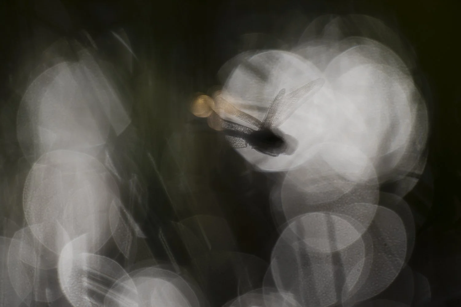 Apparition