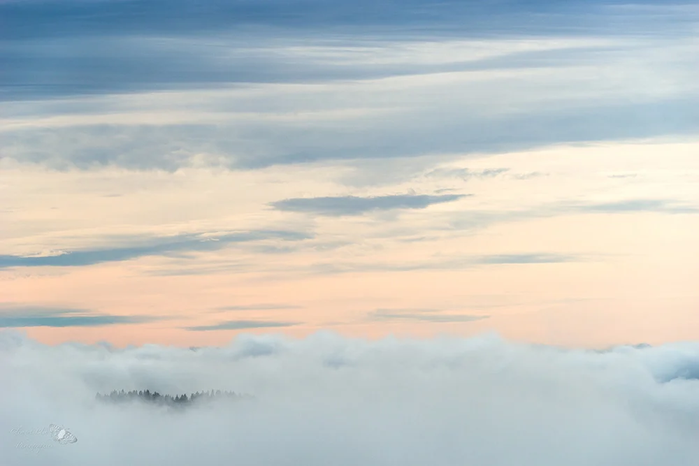 Mer de nuages depuis le sommet de la Dôle.