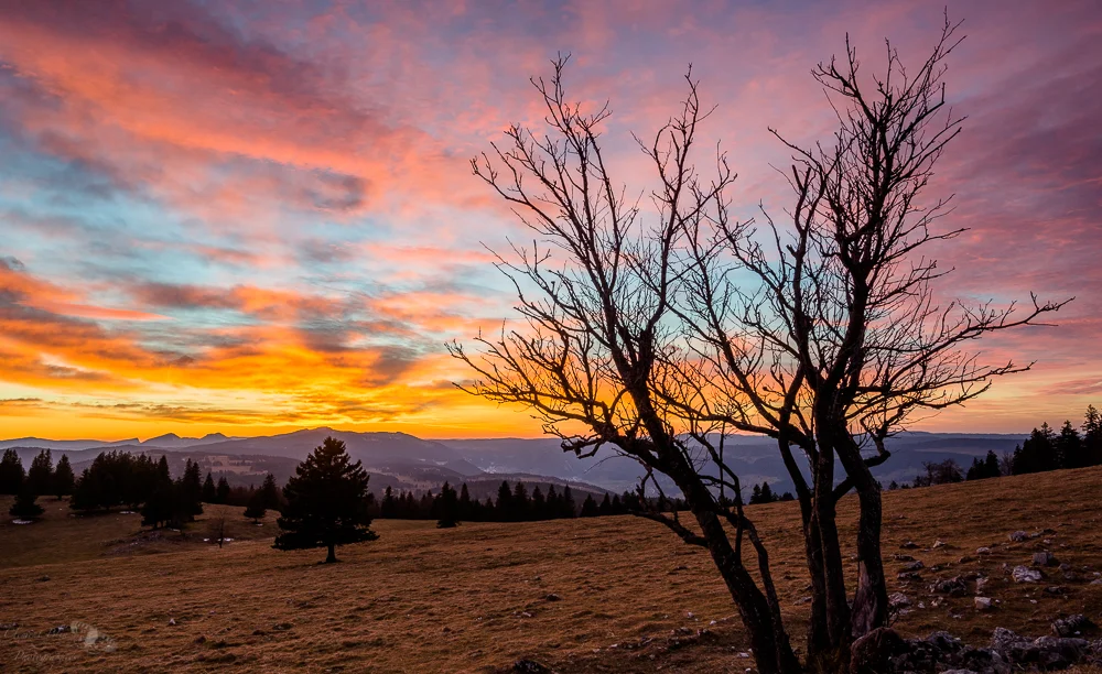 dsc01866-hdr