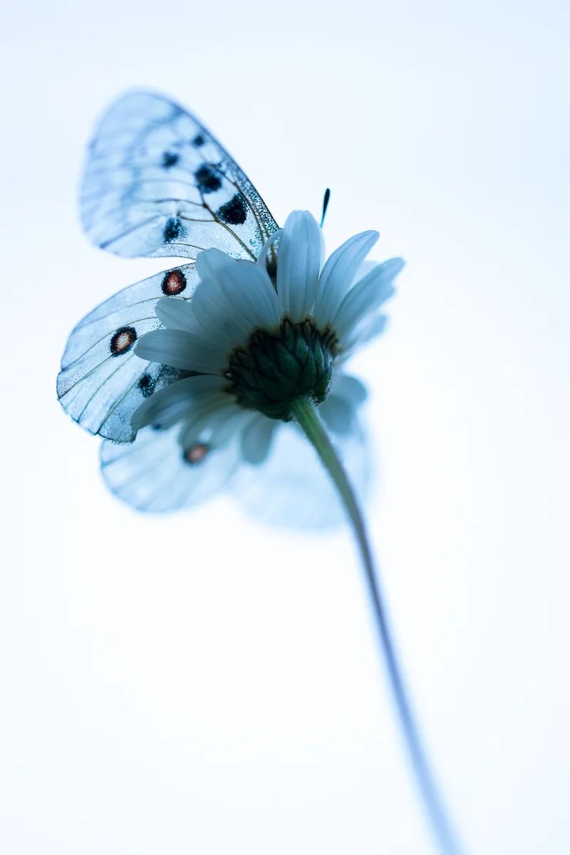 DSC02149-1.jpg