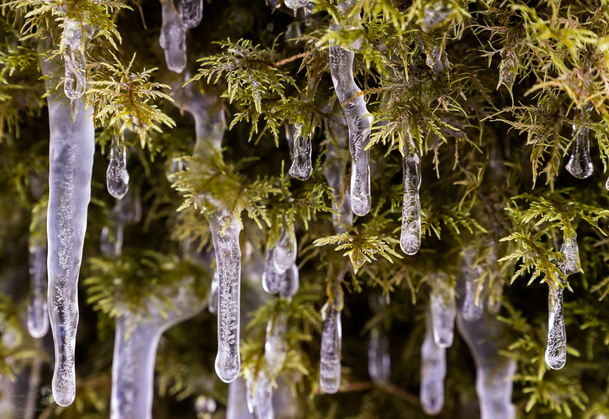 Stalactites de glace, la plus large fait 5mm de large. 70mm, F6,3.