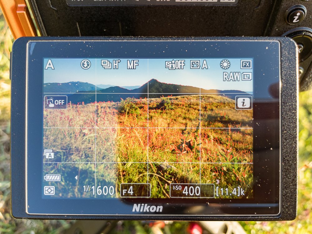 Nikon Z6, écran