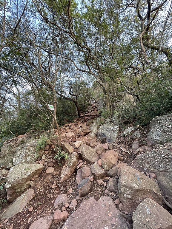 Sentier vers le Cerro Hu