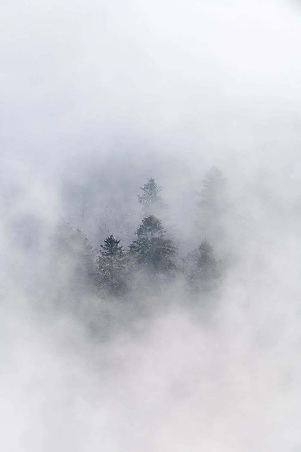 DSC_7561.jpg