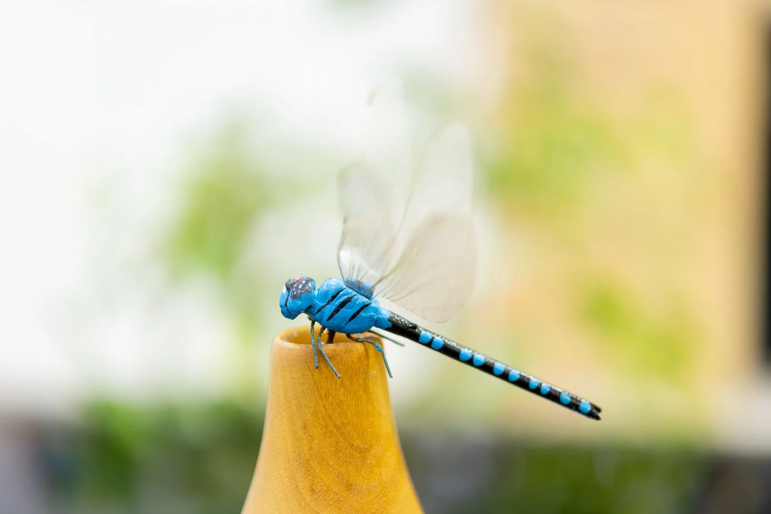 60mm F2.8