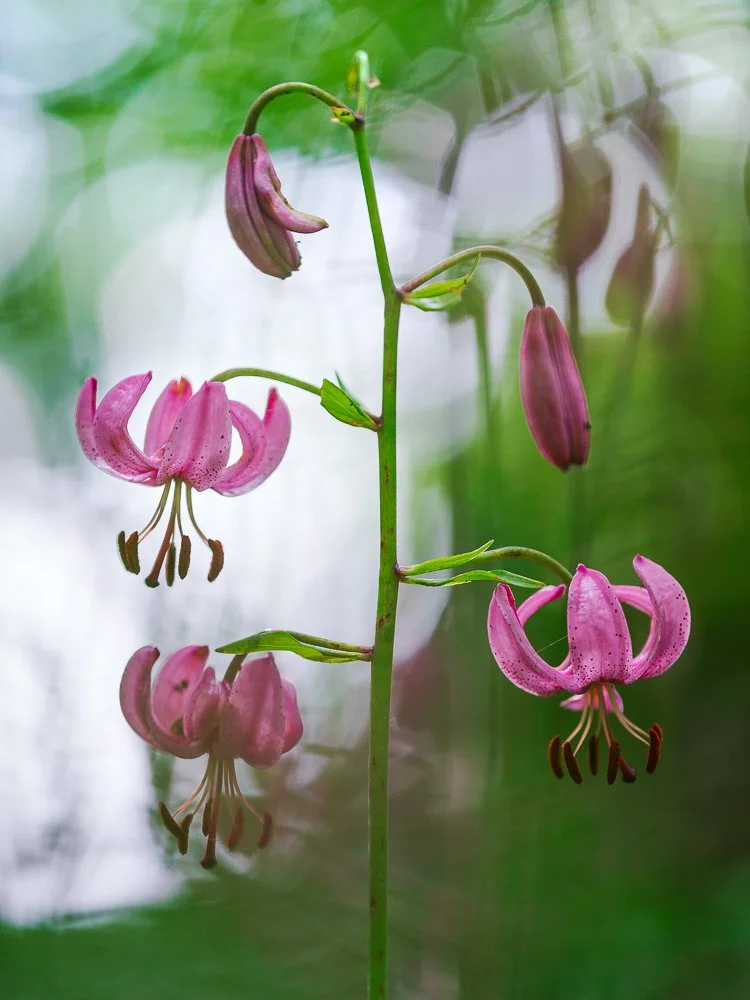180mm, F3.5