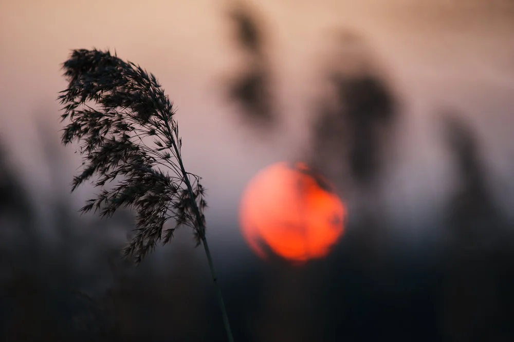 200mm, F2.8