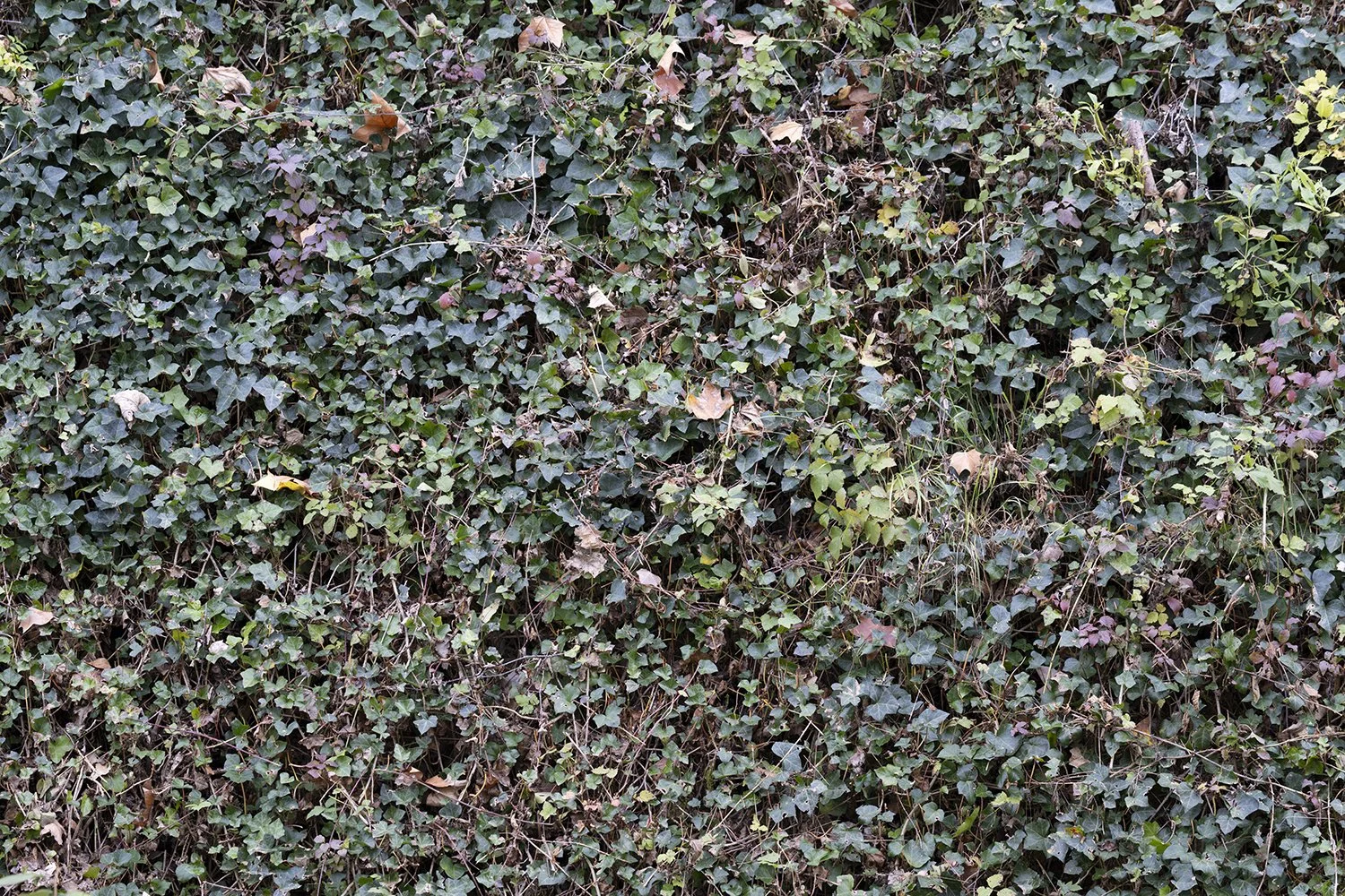Scène à 10m, au 135mm, F5,6.