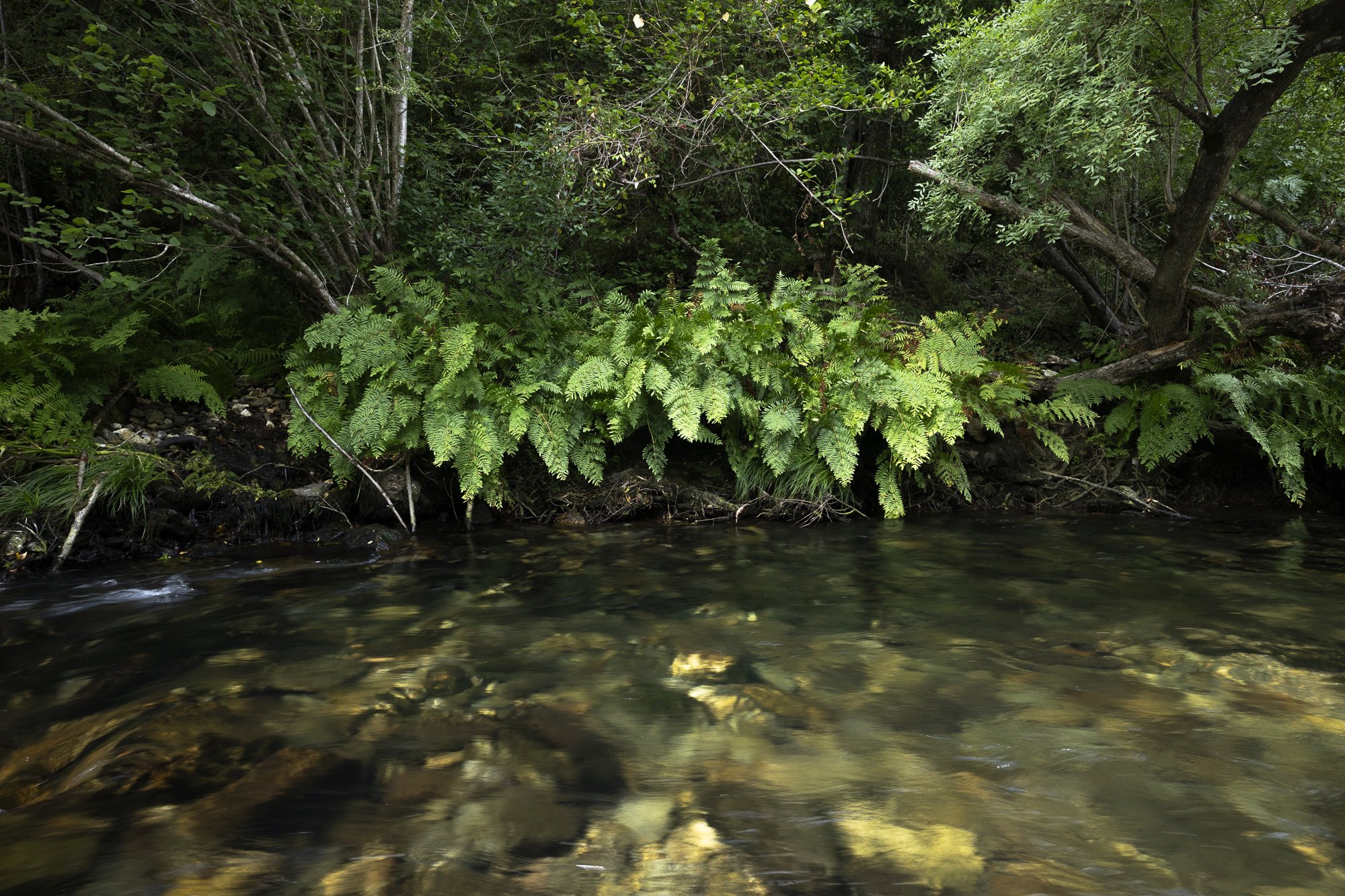 Parque natural das Fragas do Eume