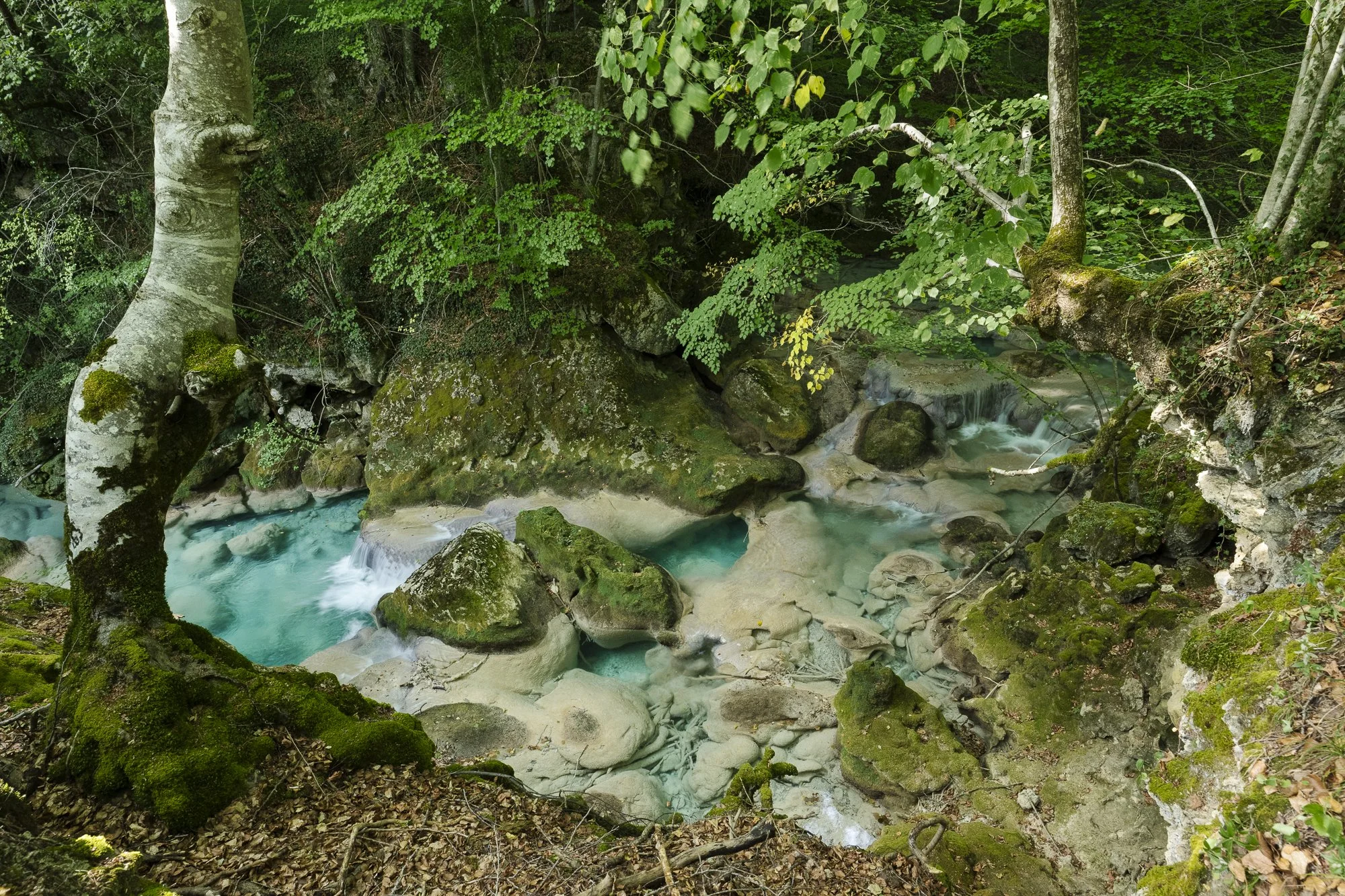 Nacedero del Río Urederra -  Reserva Natural