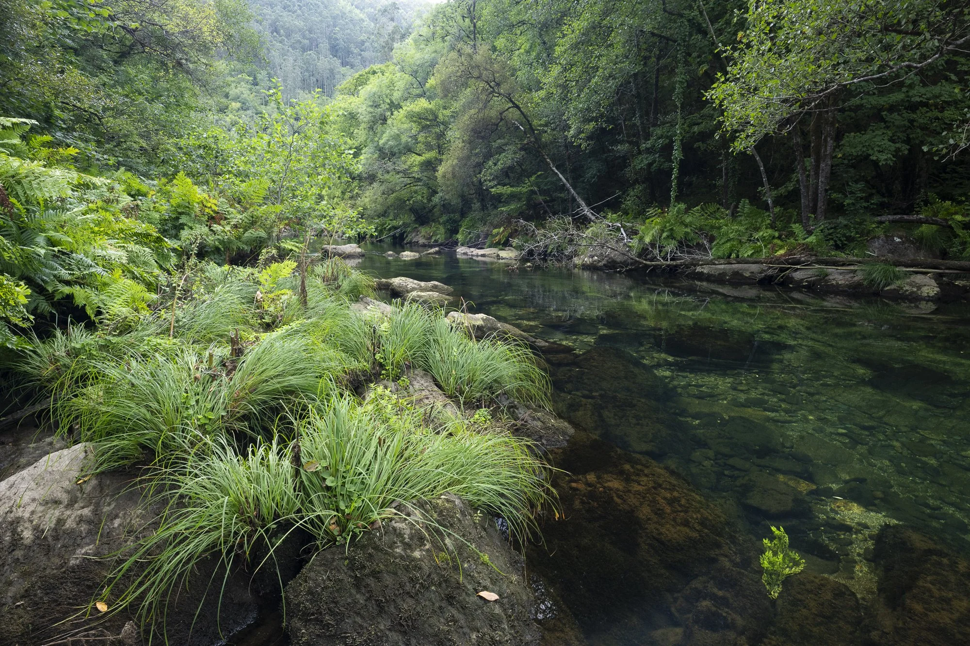 Parque natural das Fragas do Eume