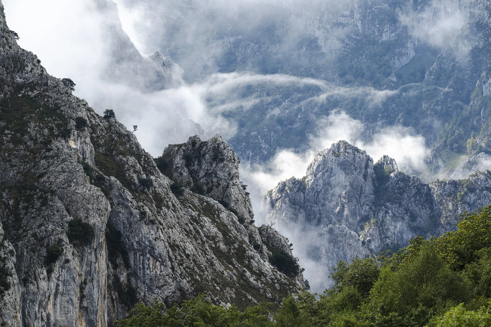 Parc national des Picos de Europa