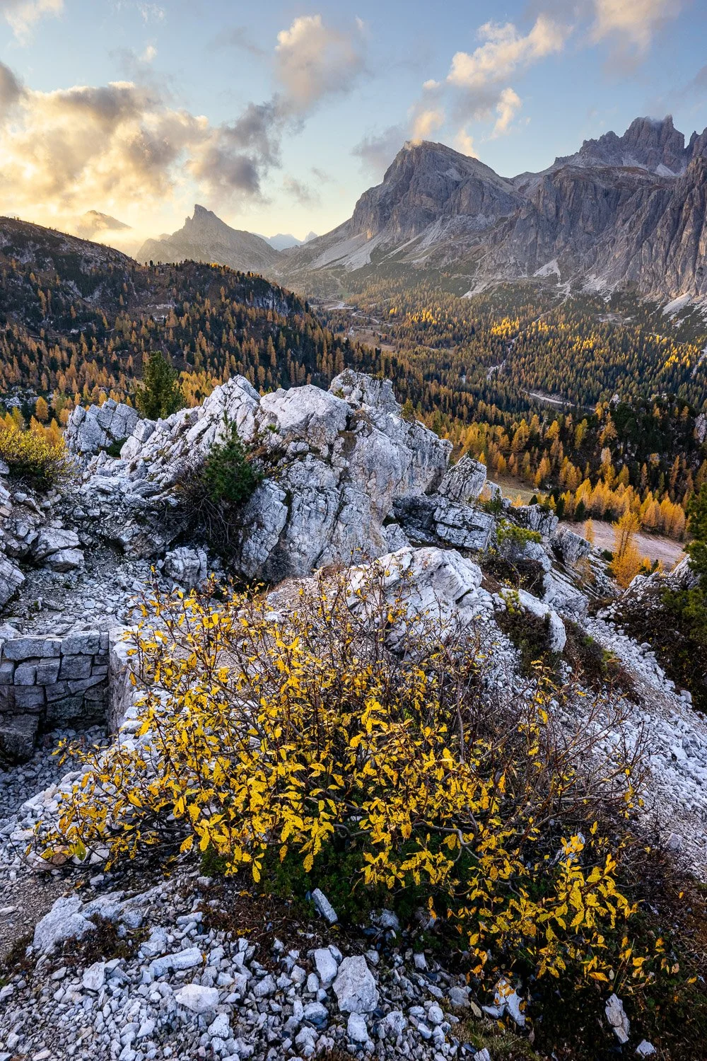 DSC09660-HDR.jpg