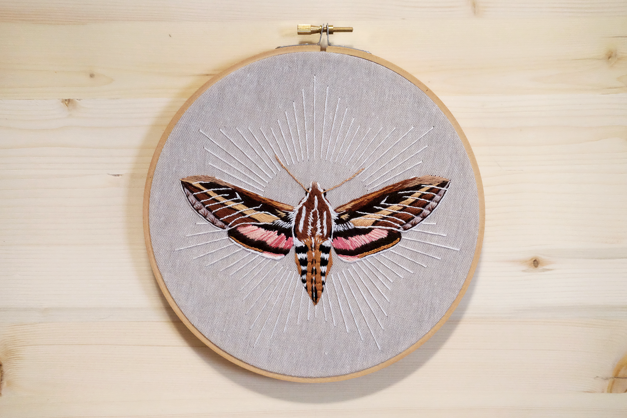 sphinx moth.png