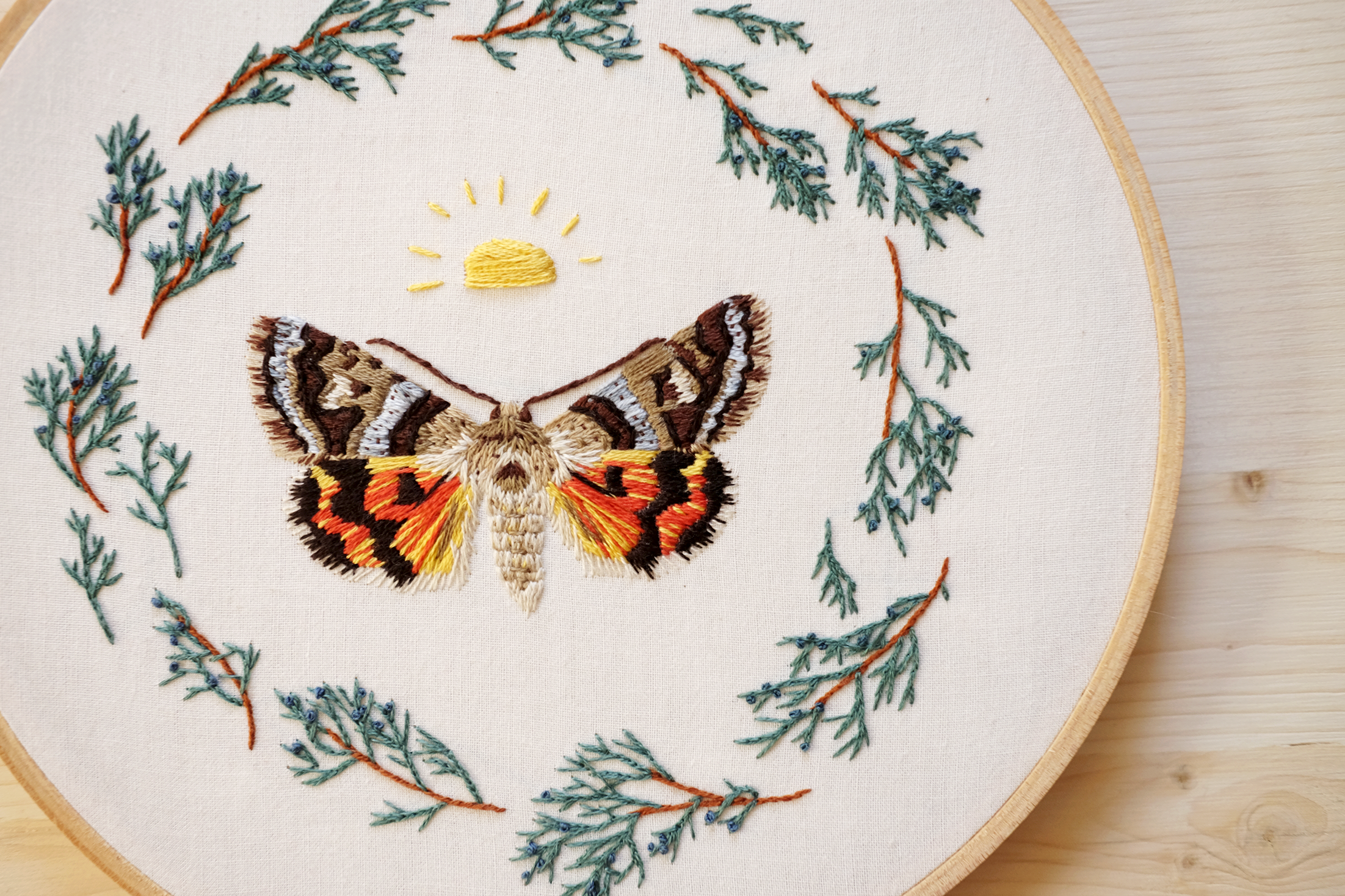 juniper moth 3.png