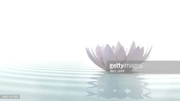 Photo by dam_point/iStock / Getty Images