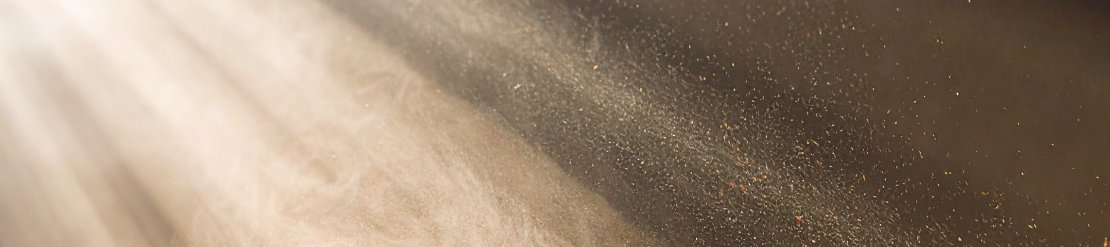 Restoration Gala Save the Date (Blog Banner) (2).png