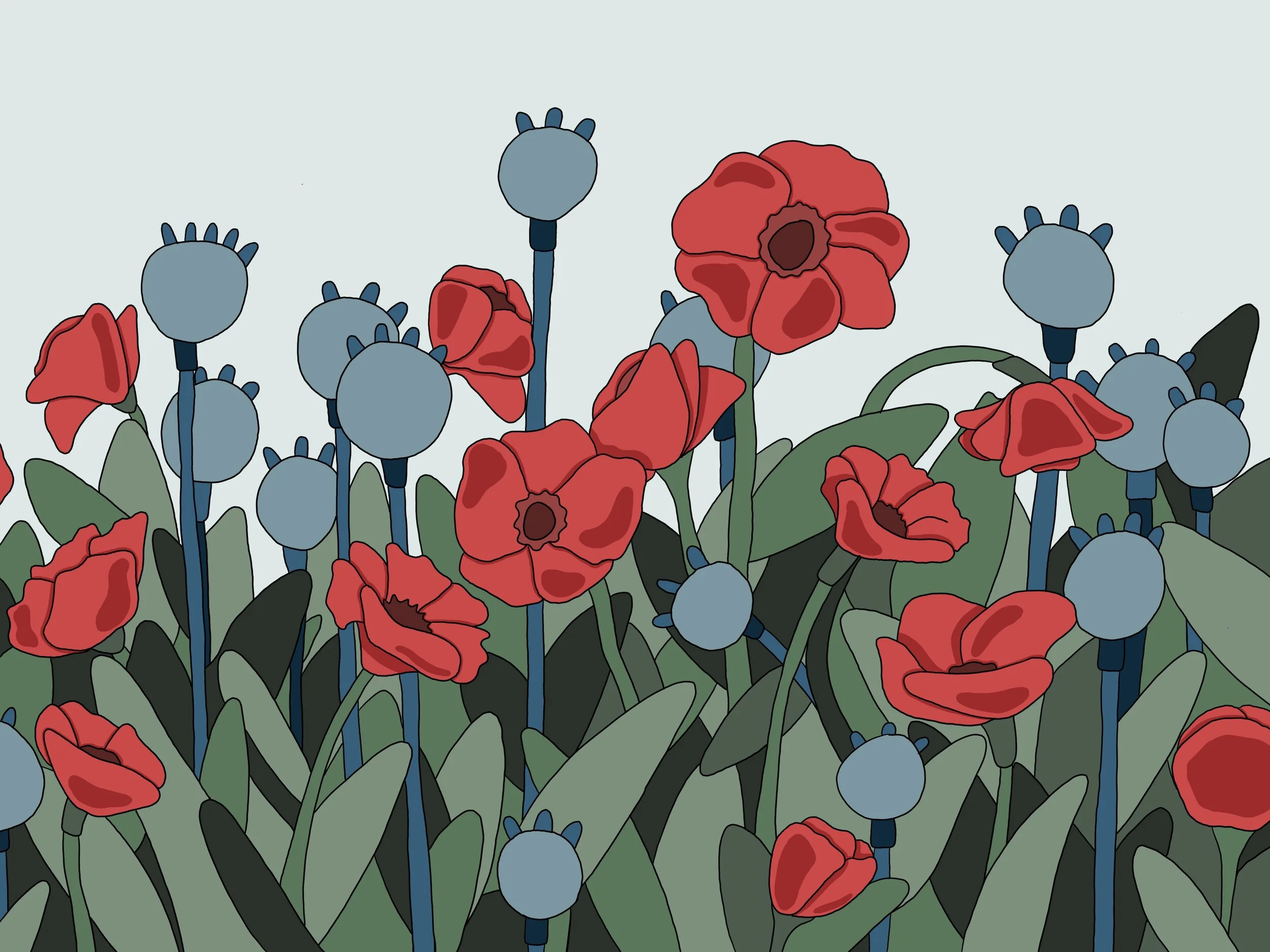 poppy_field.jpg