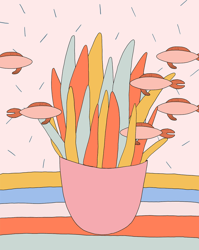 fish.gif