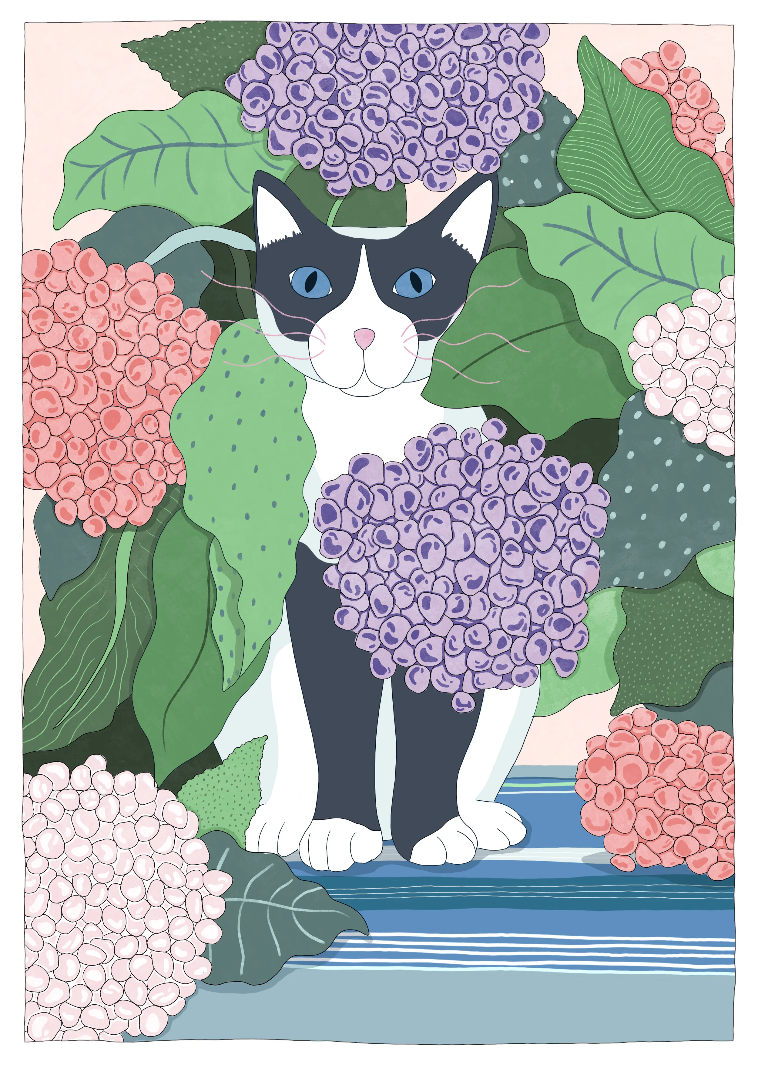 Blooming_cat.jpg