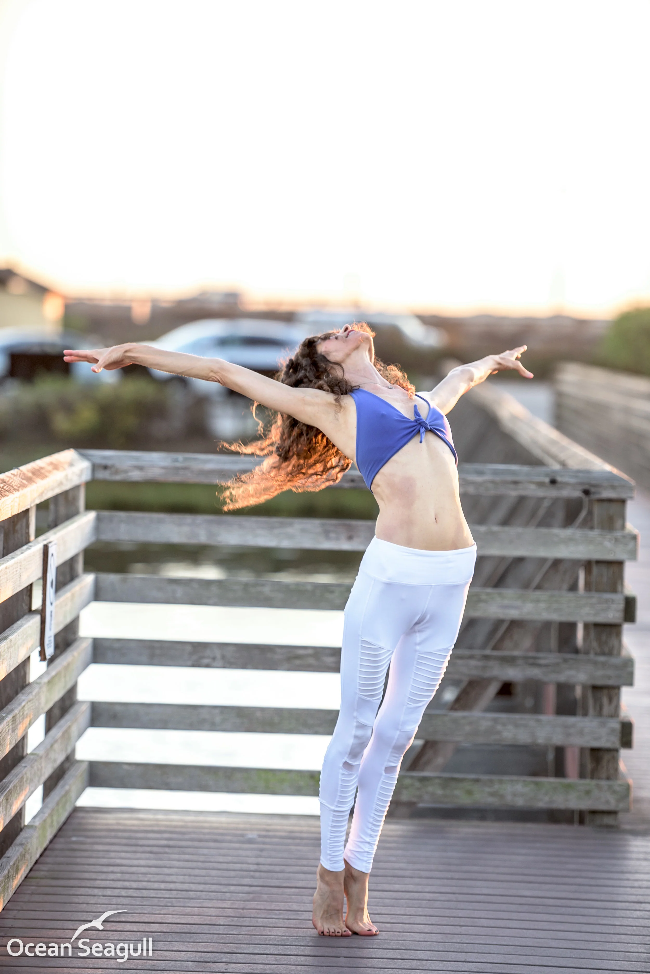 LIVE / IN-PERSON SESSIONS