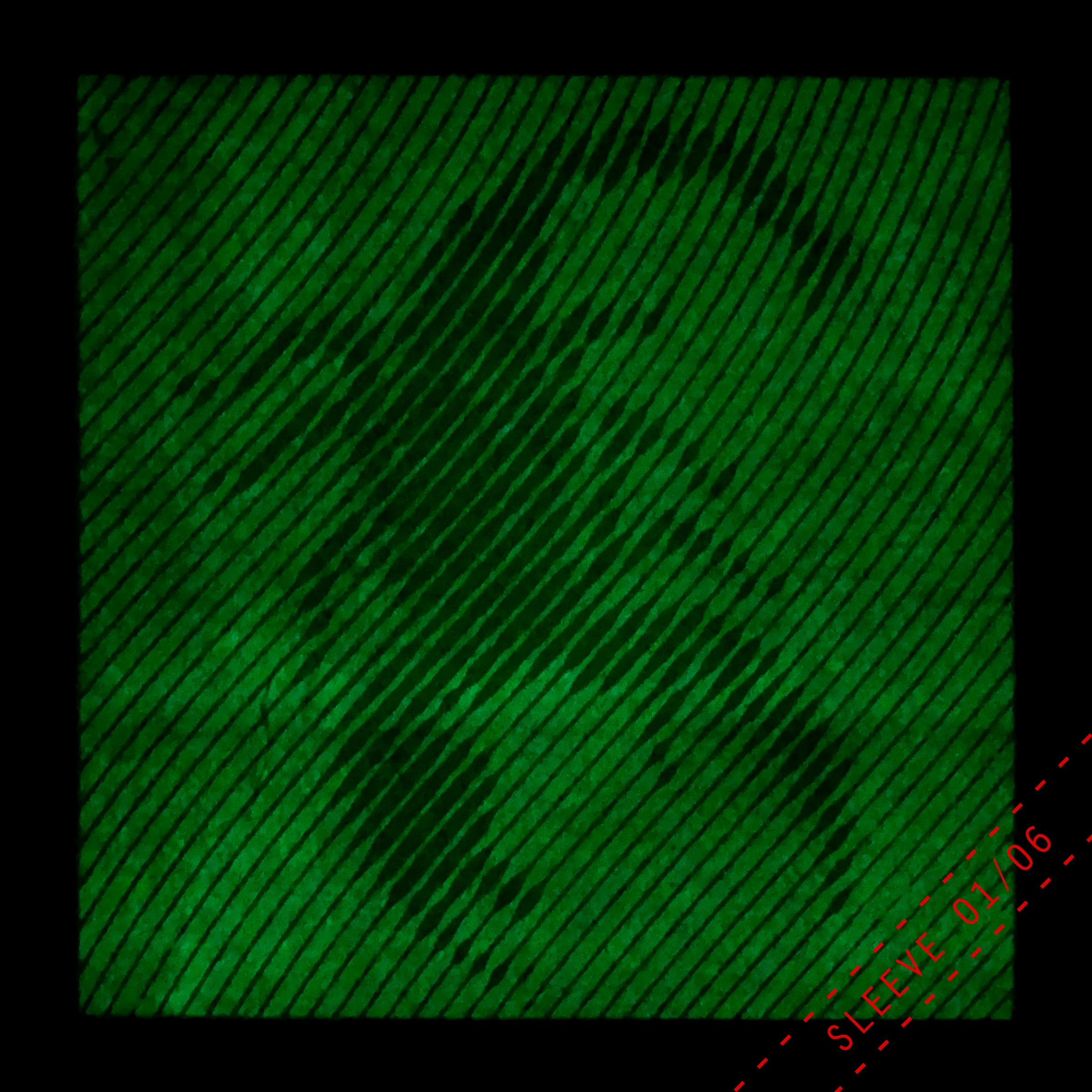 RR1-gl-sleeve1f.jpg