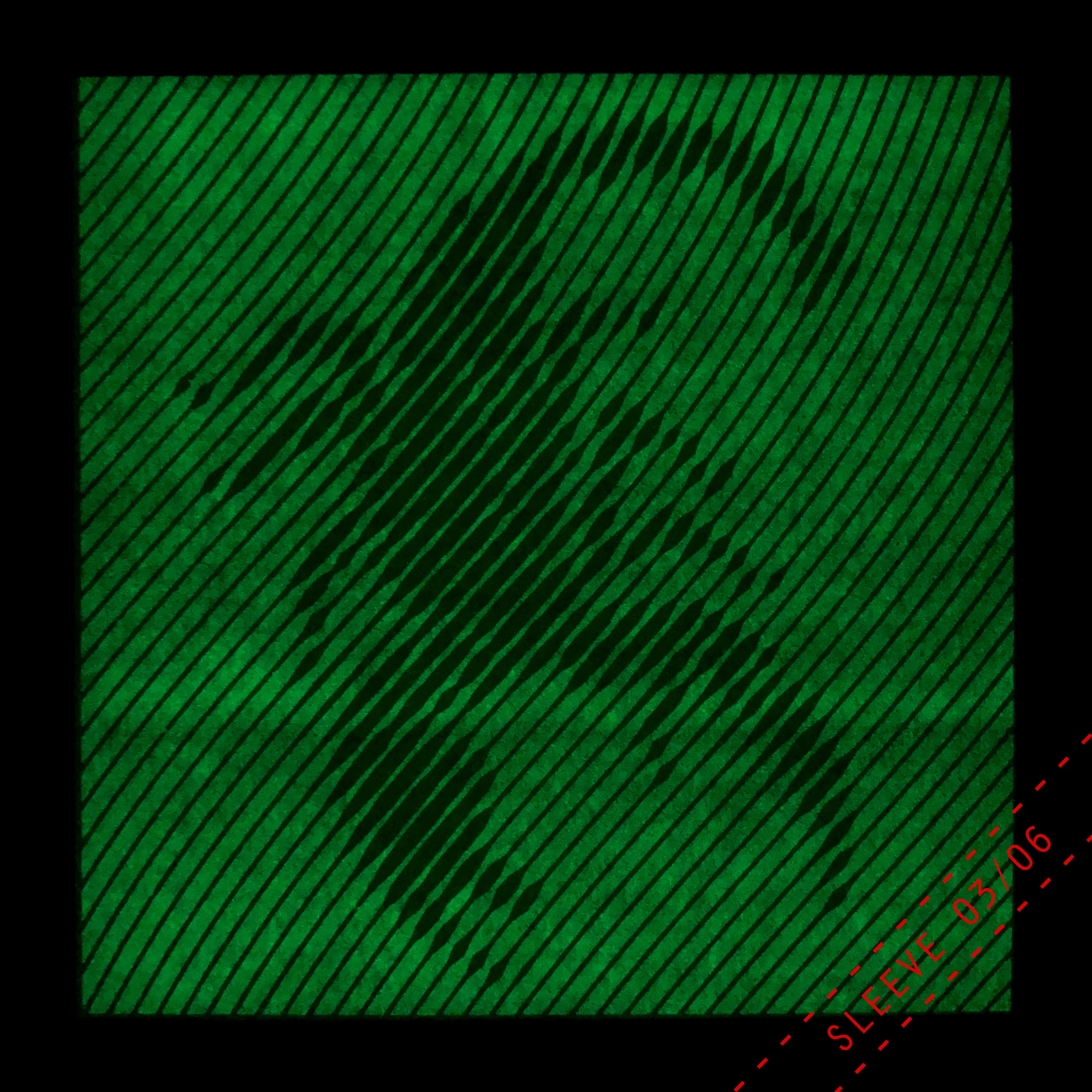 RR1-gl-sleeve3f.jpg