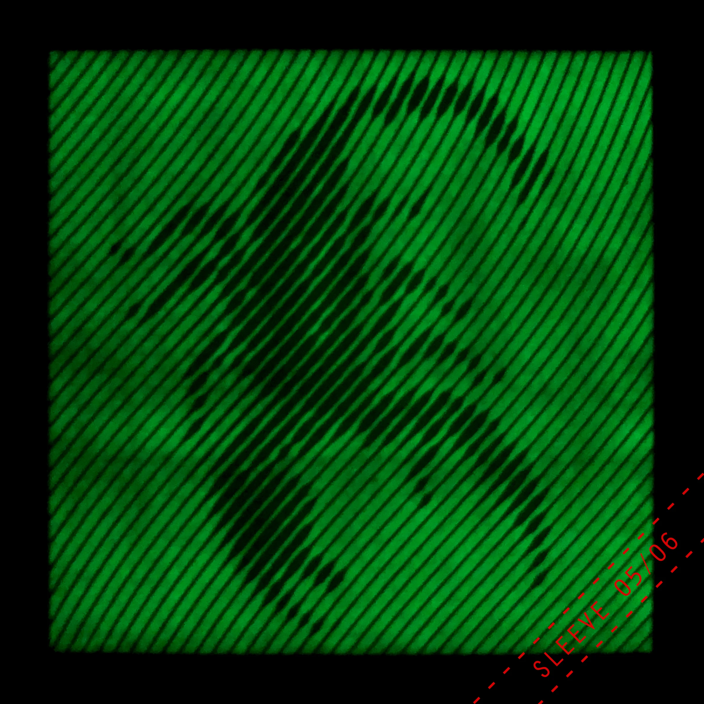 RR1-gl-sleeve5f.jpg