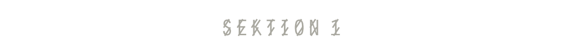 Section-Logo_S.png