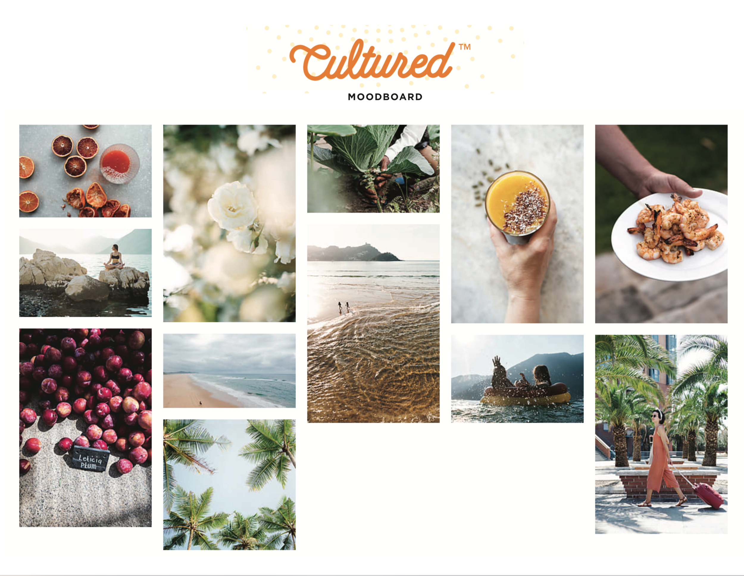 Screen Shot 2019-01-17 at 4.19.43 PM.png