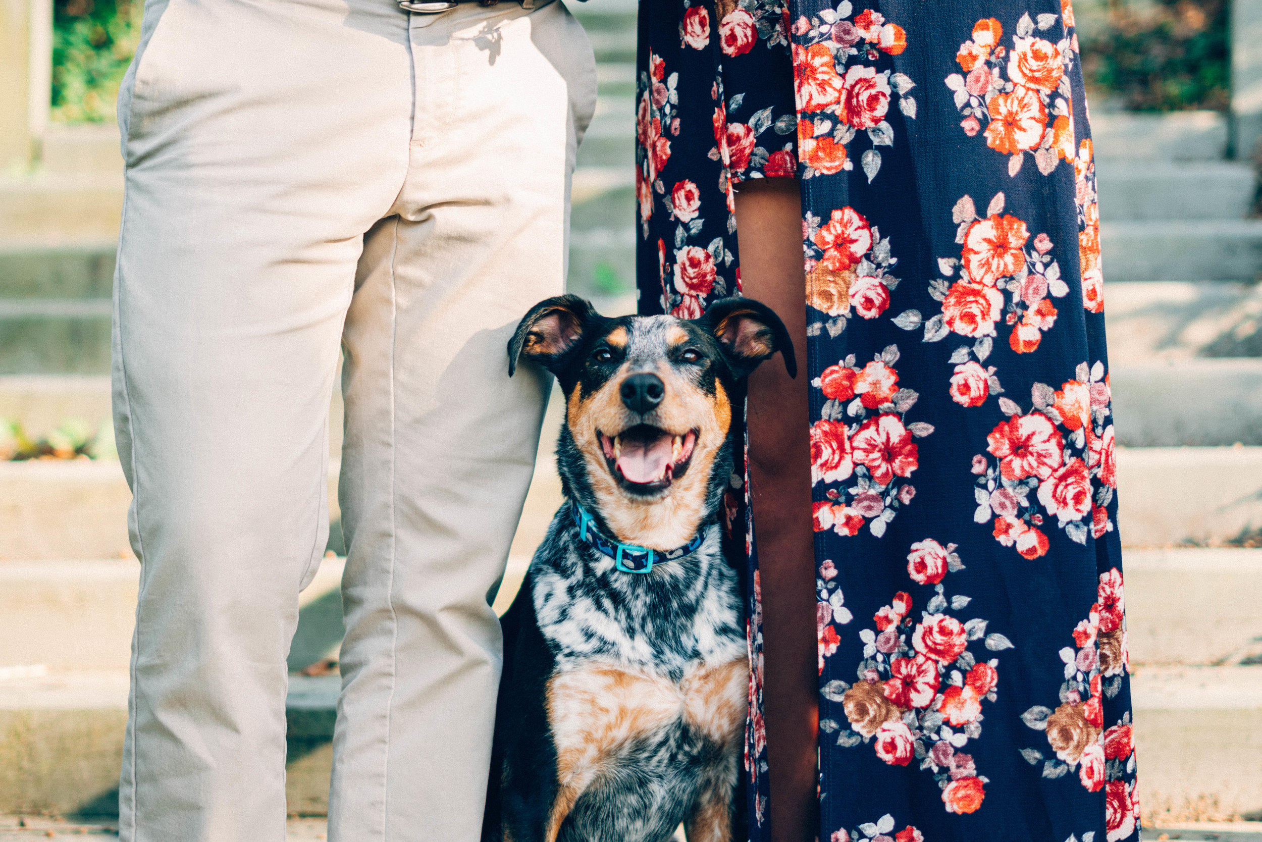 Puppy Love Engagement Session at Callaway Gardens