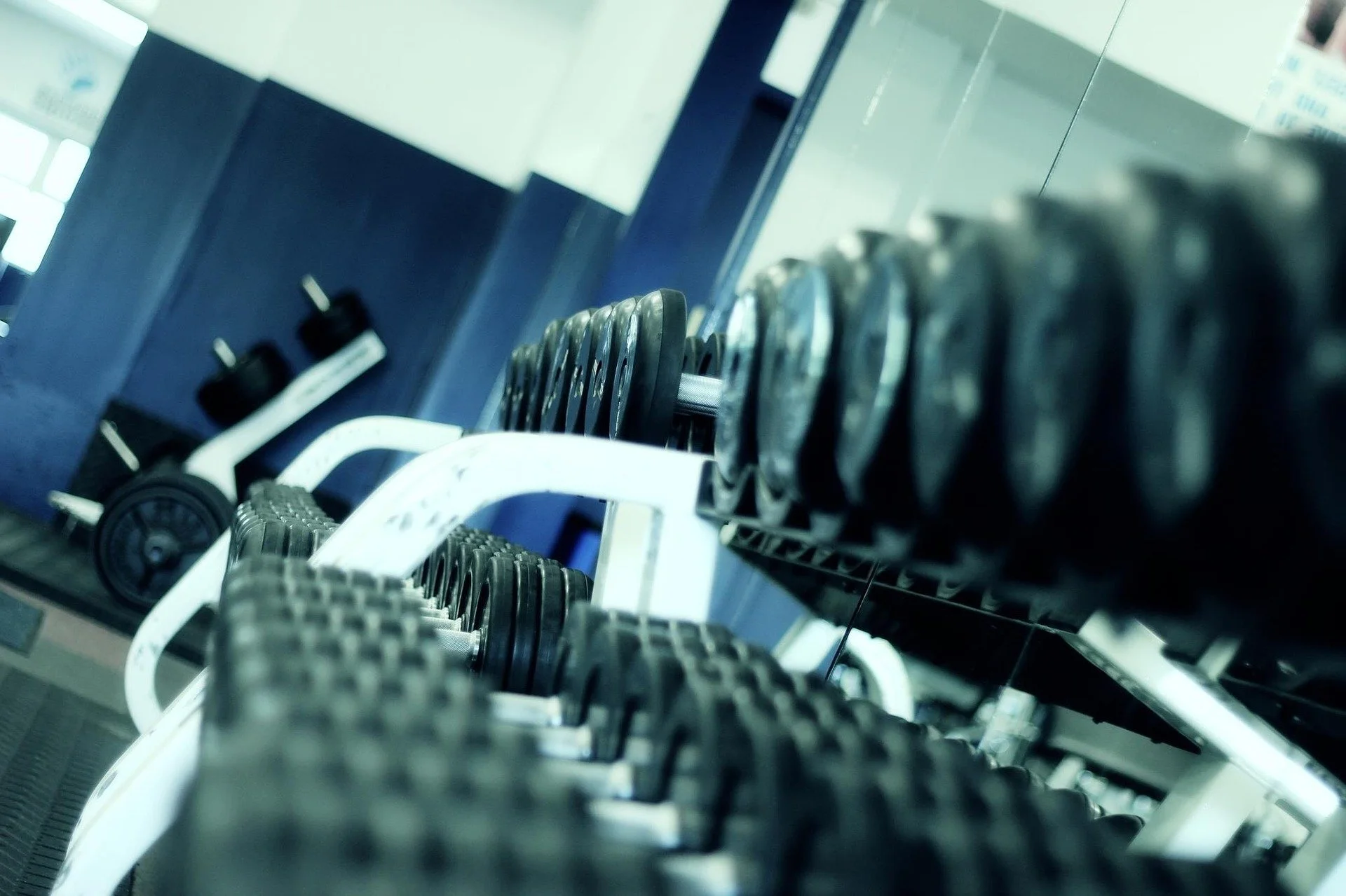Four Reasons Why Strength Training Will Help You With Weight Loss 