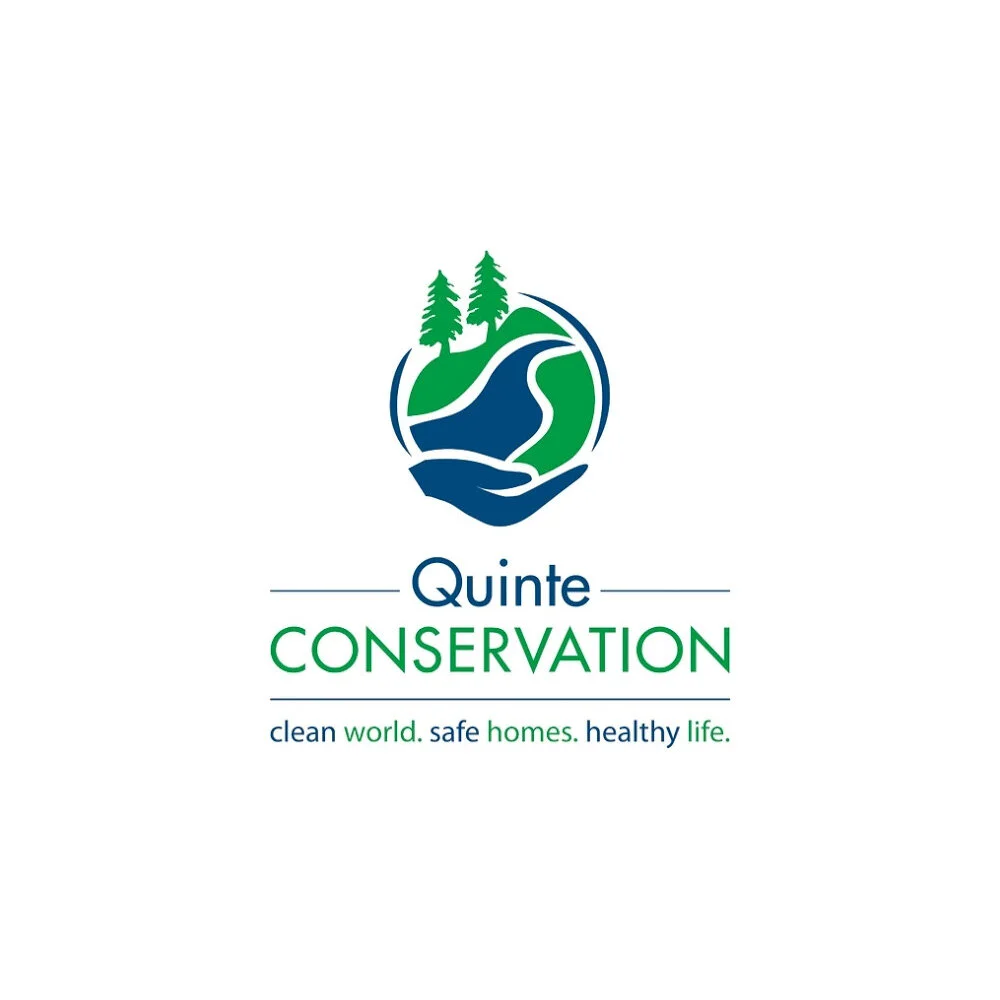 Quinte Region Low Water Level 1 Declared