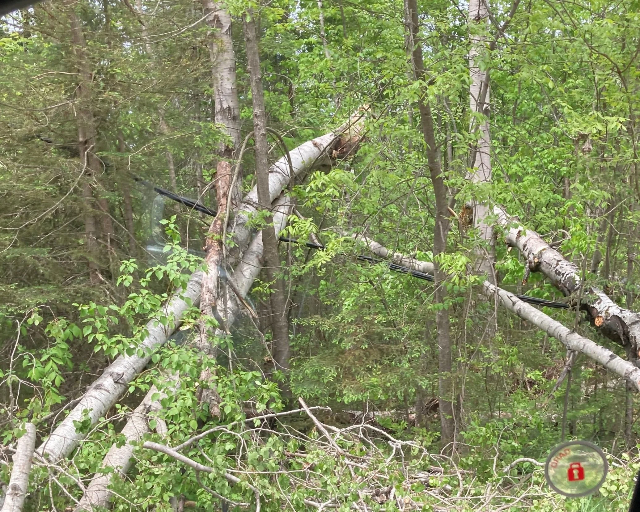 The Storm Information Page Has Been Updated