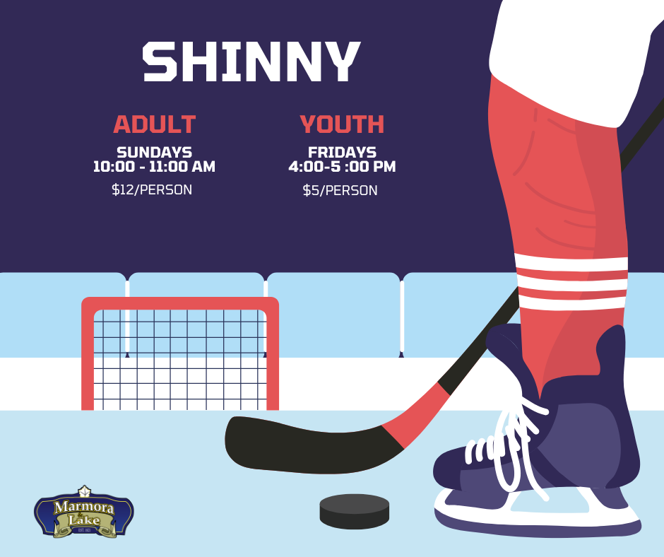 shinny 2025.png