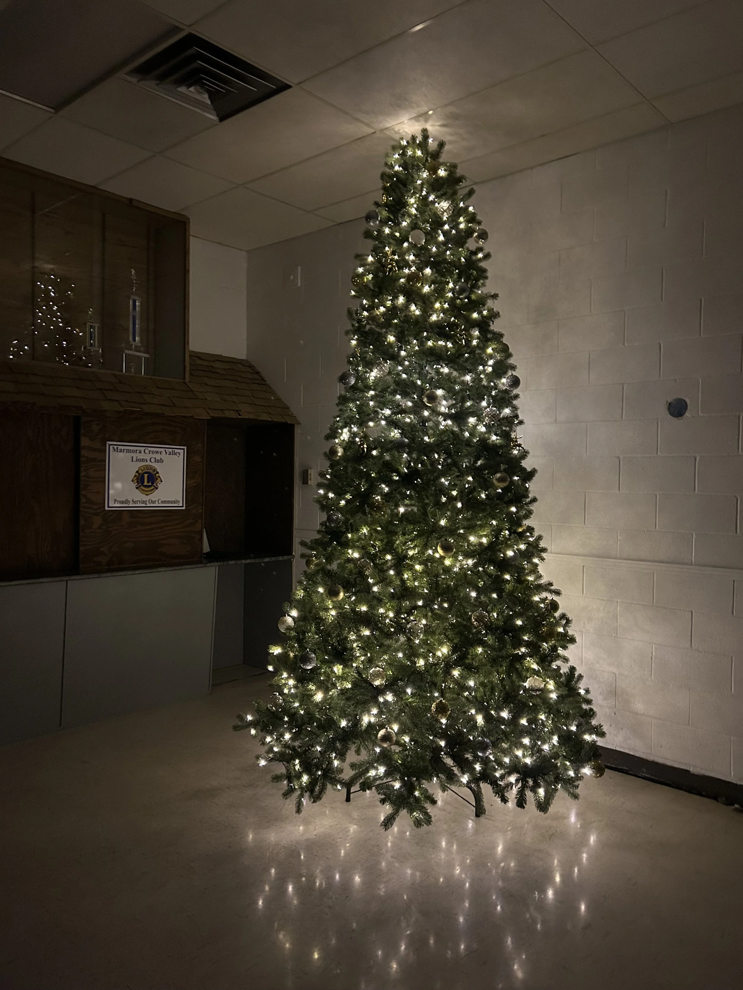 It's beginning to look a lot like Christmas... at the arena!