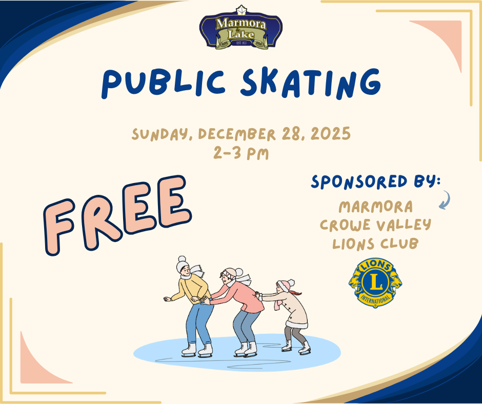 public skating - lions 122825.png