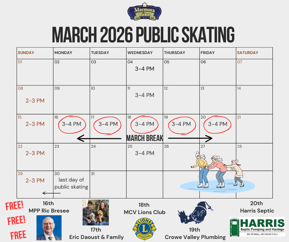 FREE public skating every day during March Break!