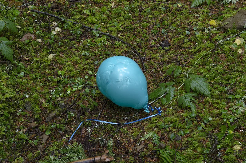 41346751952_ae5b1d05d4_c.jpg