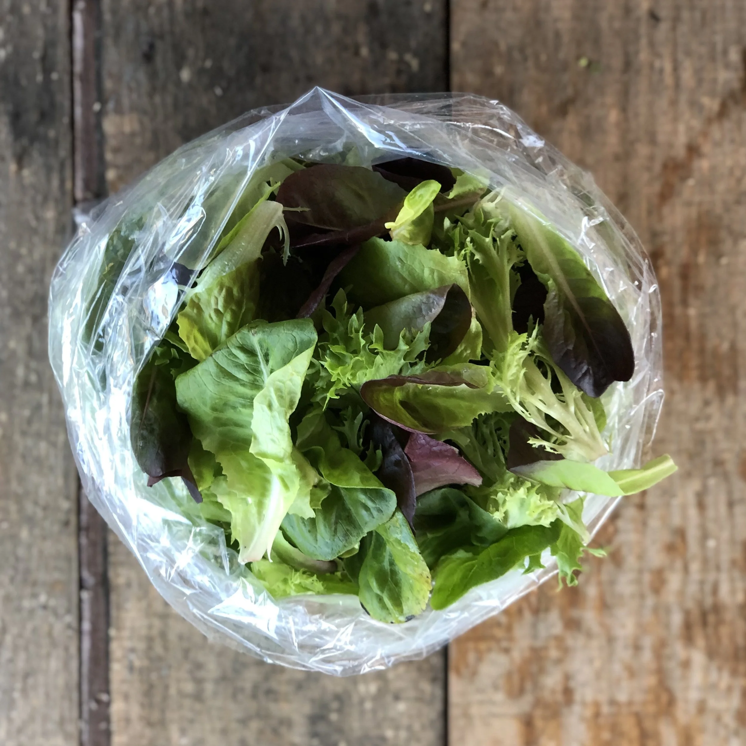 Salad Mix square.jpg