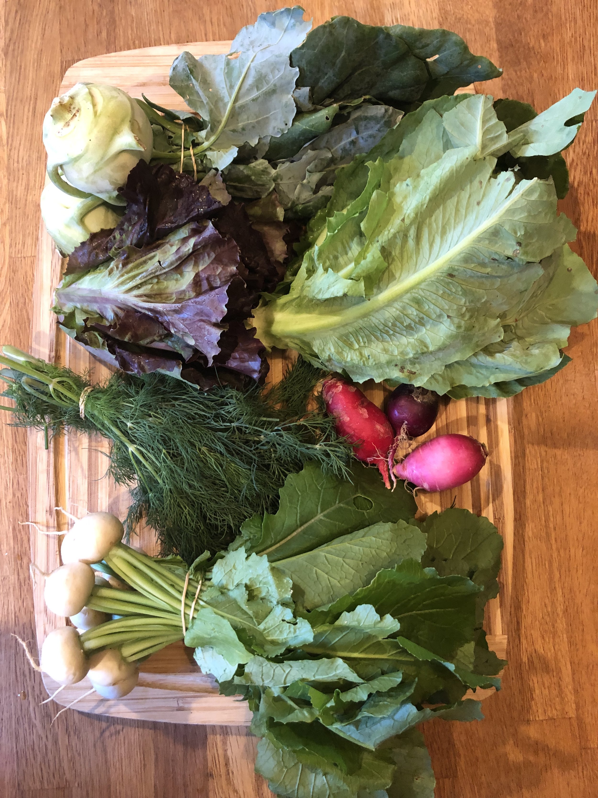 harvest.jpeg