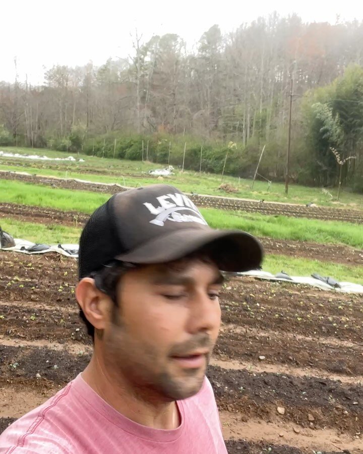 Some back field updates! Woo!