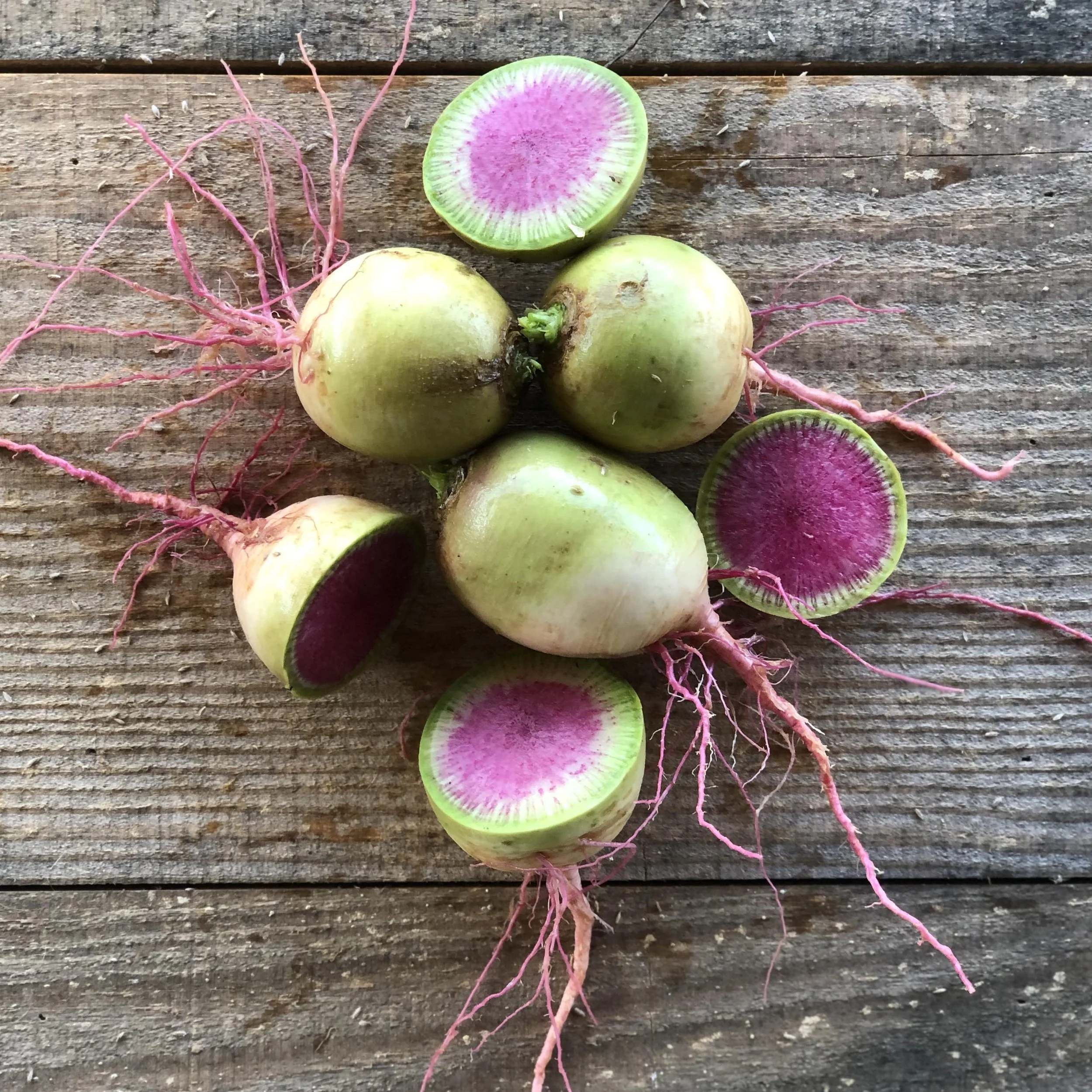 watermelonradish.jpeg