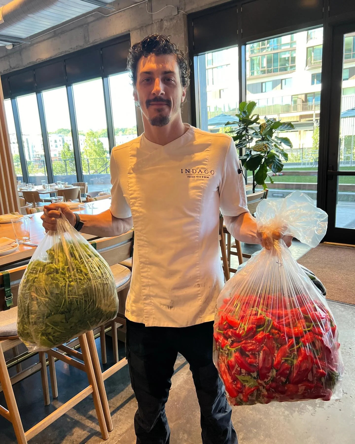 Levity Farms has been working directly with chefs since we began the farm 8 years ago. We love it. The chefs we work with are passionate, understanding, and very supportive of small organic farms. They understand quality like no other, and it shows. 