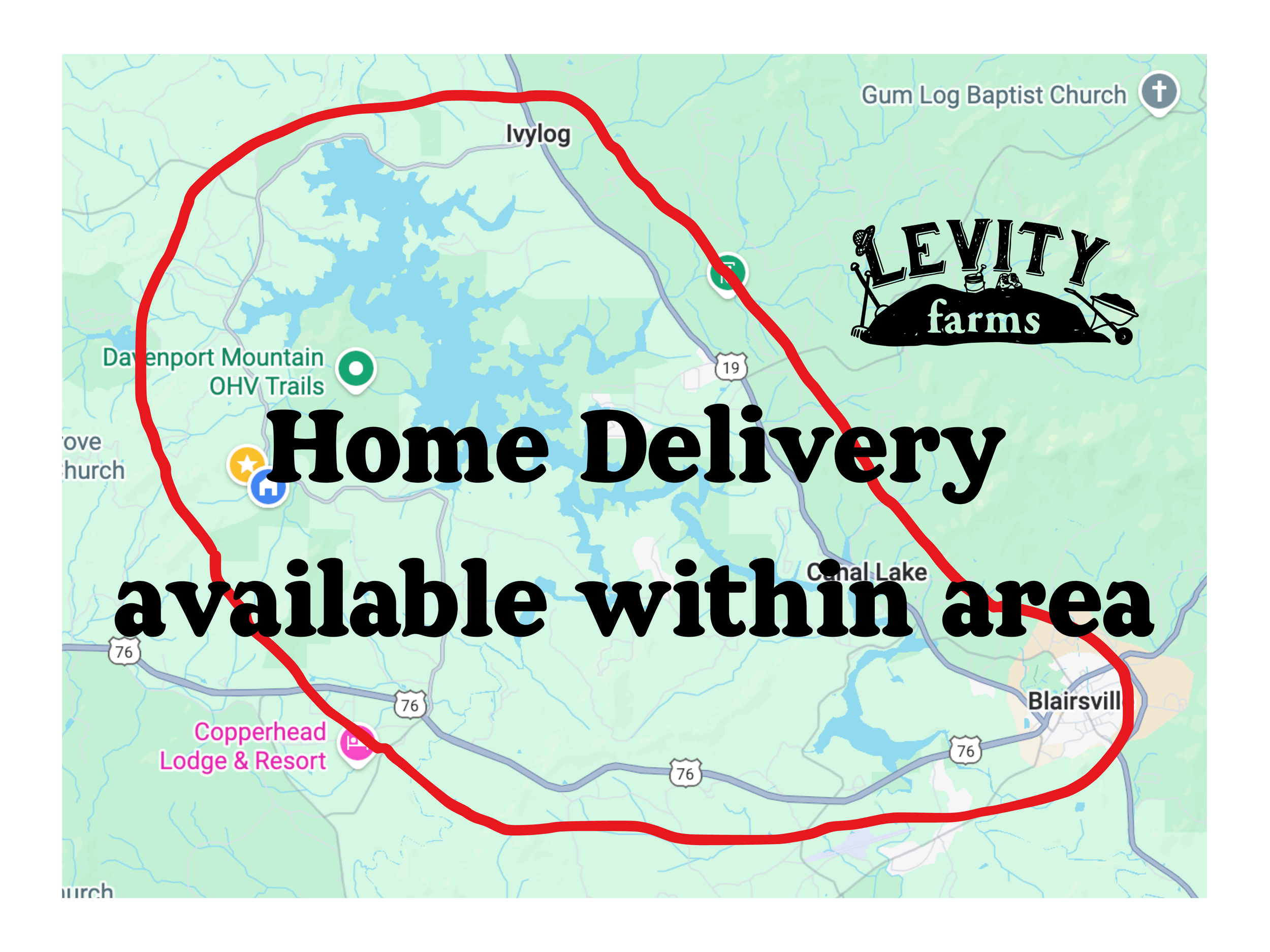 Home Delivery available within area.png