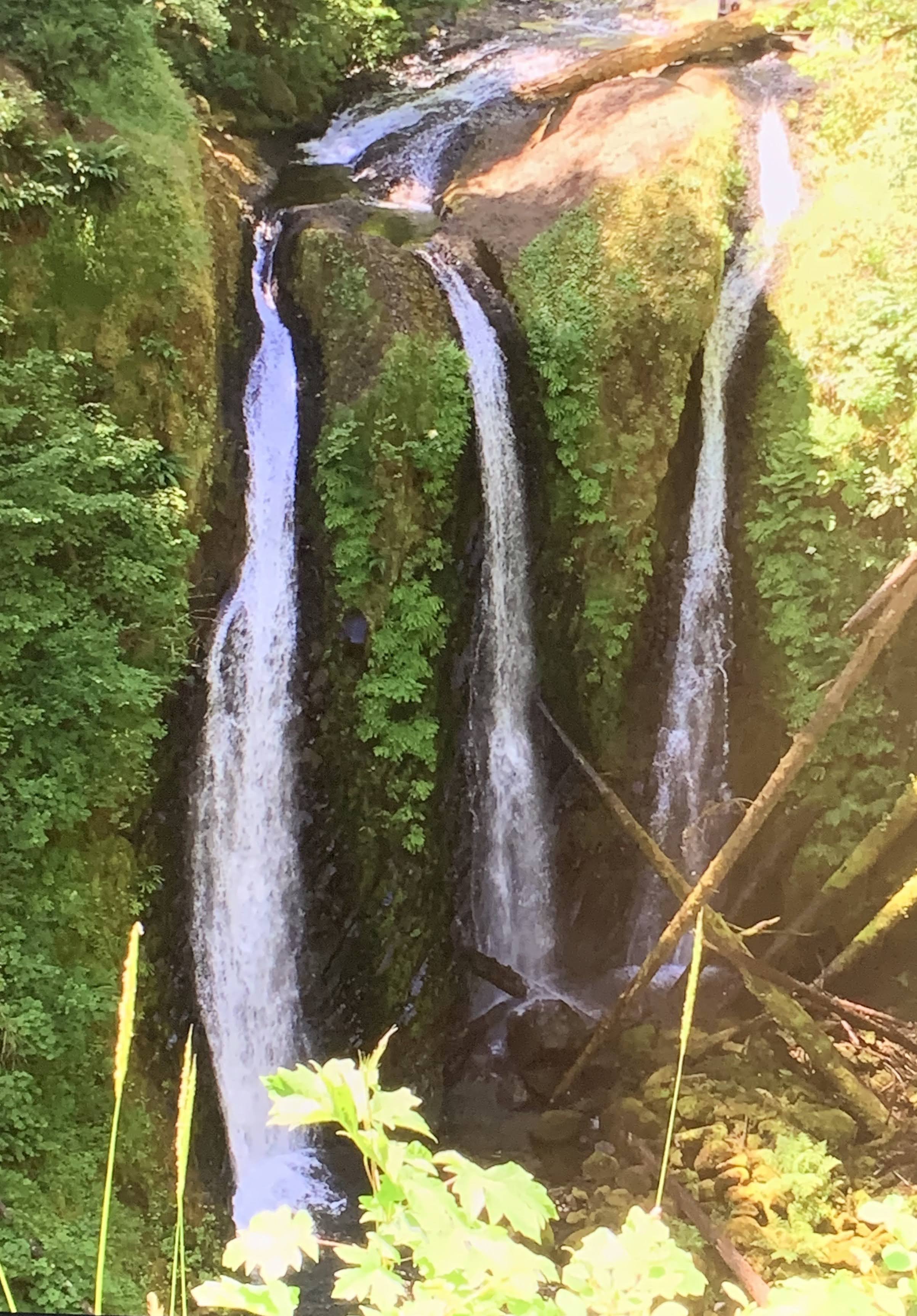 A tall waterfall with multiple streams flowing over moss-covered rocks surrounded by green foliage in a forest.